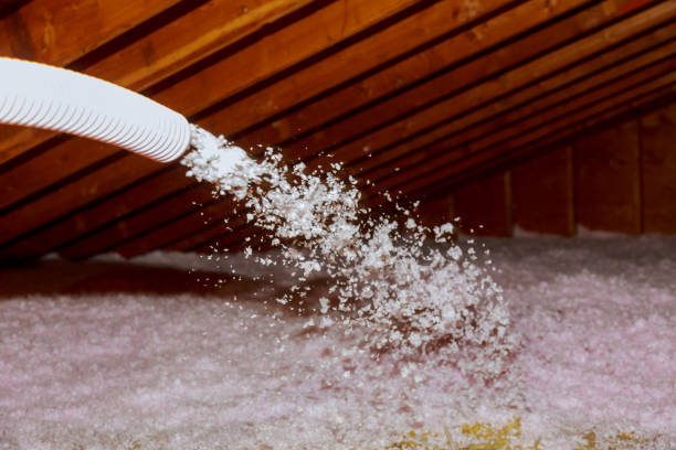 Best Insulation Installation Services in Florence, SC