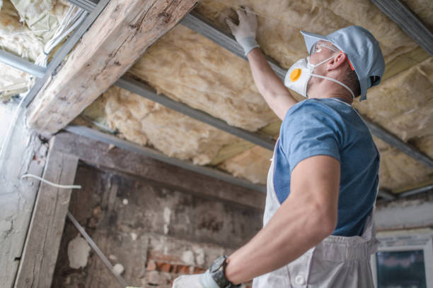 Best Insulation Maintenance and Repair in Florence, SC