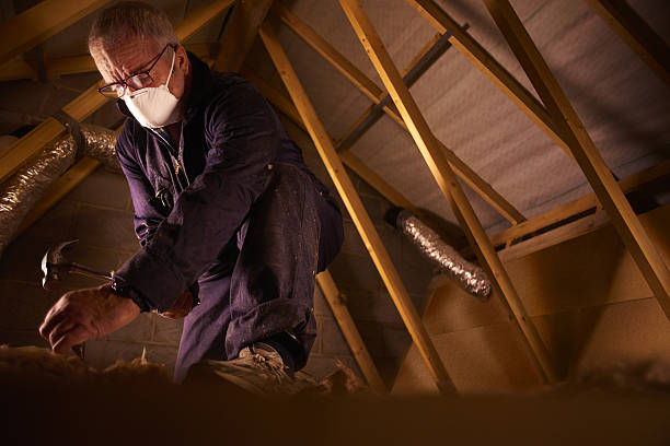 Best Commercial Insulation in Florence, SC
